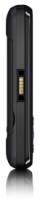 Sony Ericsson W395