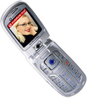 Samsung SGH-ZV30